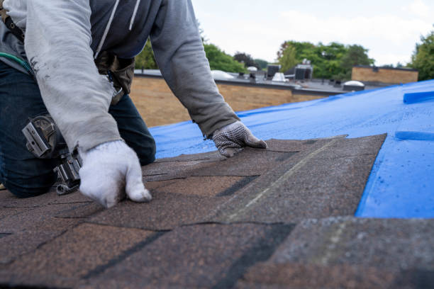 Best Local Roofing Companies  in Marquette, MI