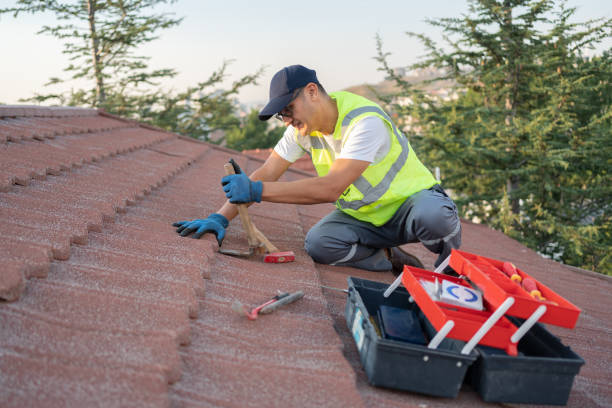 Best Roof Repair Services  in Marquette, MI